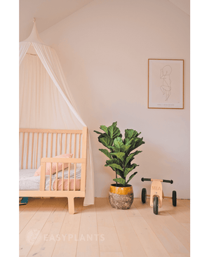 Planta de tabaco artificial Ficus Lyrate 100 cm