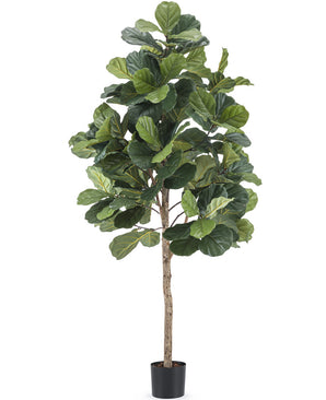 Planta de tabaco artificial Ficus Lyrate 180 cm