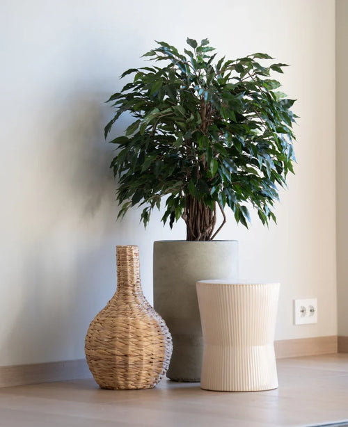 Una planta artificial Ficus Liana de 90 cm se encuentra en una maceta gris junto a un jarrón tejido y un taburete ligeramente acanalado, todo ello sobre un suelo de madera contra una pared blanca y lisa.