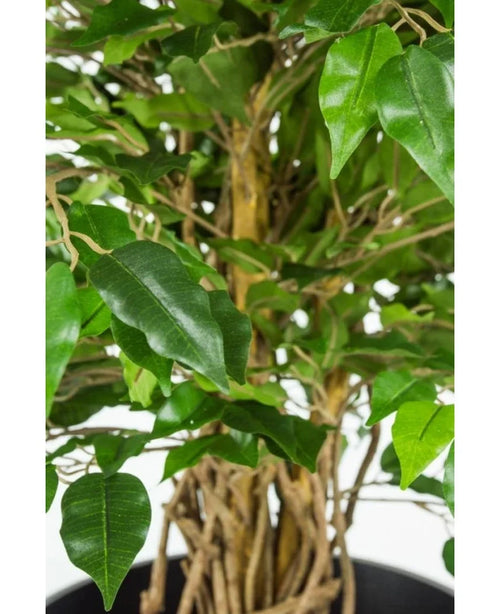 Primer plano del tallo trenzado y las hojas verdes de la planta de oficina Planta Artificial Ficus Liana de 90 cm sobre un fondo claro.