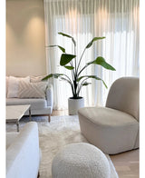 Salón luminoso y moderno con sofá blanco, sillón redondo y otomana. Junto a unas cortinas transparentes se encuentra una planta artificial Strelitzia Real Touch de 180 cm ya preparada en una maceta beige. Una acogedora decoración neutra con una suave alfombra y cojines completan el look.