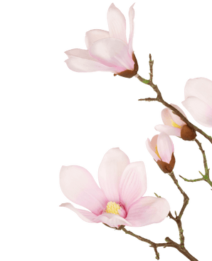 Rama Artificial Magnolia Tacto Real Rosa 98cm