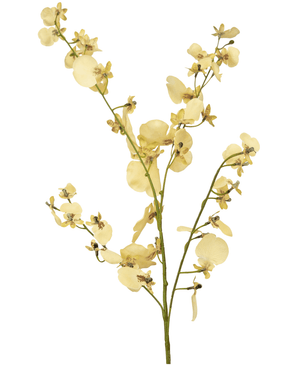 Rama artificial Orquídea 80 cm beige