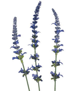 Rama artificial flor Lavanda 66 cm azul