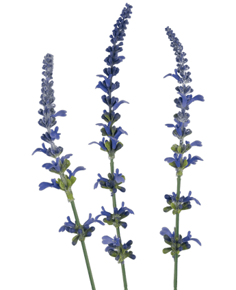 Rama artificial flor Lavanda 66 cm azul