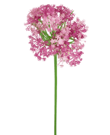 Ramo de flor artificial Allium 60 cm morado