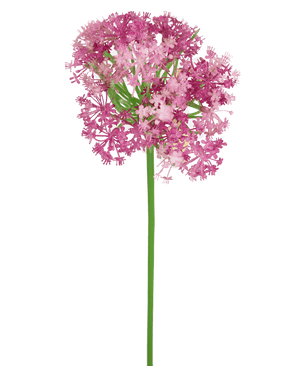 Ramo de flor artificial Allium 60 cm morado