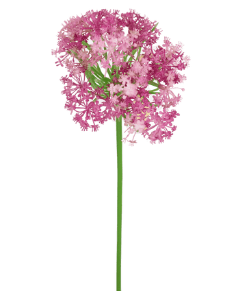 Ramo de flor artificial Allium 60 cm morado