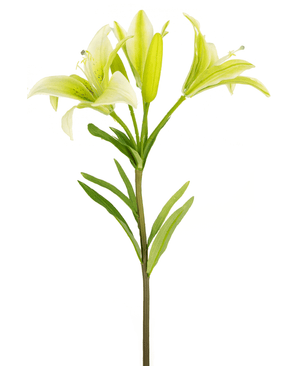 Ramo de flor artificial Lirio asiático 66 cm blanco