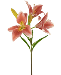 Ramo de flor artificial Lirio asiático 66 cm rosa viejo