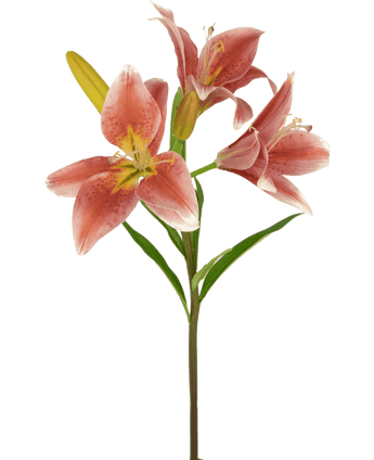 Ramo de flor artificial Lirio asiático 66 cm rosa viejo