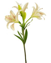 Ramo de flor artificial Lirio asiático 66 cm rosa