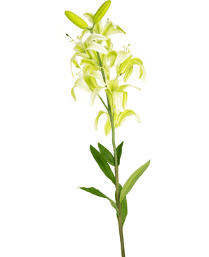 Ramo de flor artificial Lirio martagón 78 cm blanco