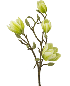 Ramo de flor artificial Magnolia 50 cm blanco/verde