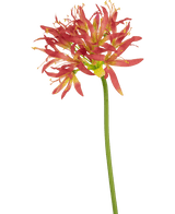 Ramo de flor artificial Nerine 70 cm fucsia