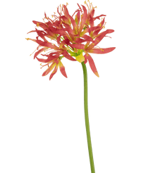 Ramo de flor artificial Nerine 70 cm fucsia