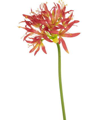 Ramo de flor artificial Nerine 70 cm fucsia