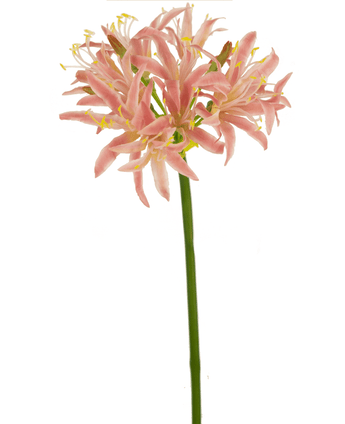 Ramo de flor artificial Nerine 70 cm rosa