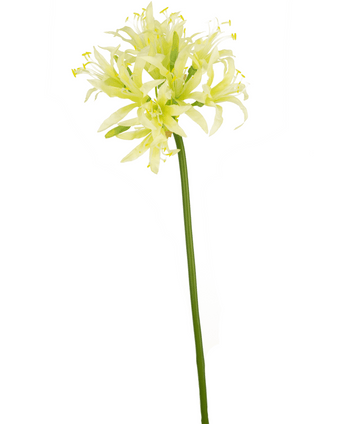 Ramo de flor artificial Nerine 70 cm verde