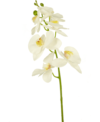 Ramo de flor artificial Orquídea 84 cm blanca