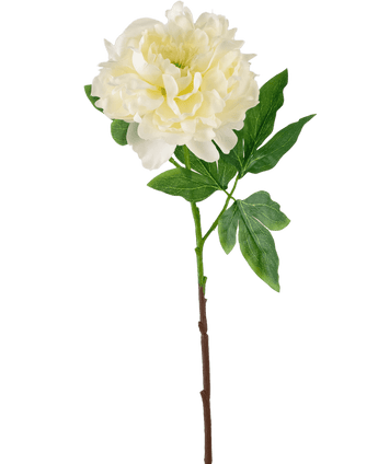 Ramo de flor artificial Peonía 61 cm blanca