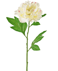 Ramo de flor artificial Peonía 77 cm blanca