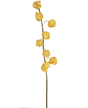 Ramo de flor artificial Physalis lampion 90 cm marrón