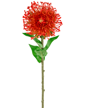 Ramo de flor artificial Protea 73 cm rojo