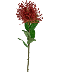 Ramo de flor artificial Protea 73 cm rojo