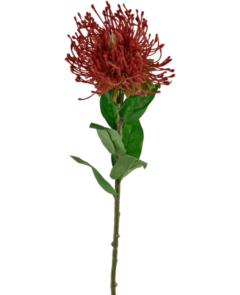 Ramo de flor artificial Protea 73 cm rojo