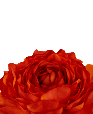 Ramo de flor artificial Ranunculus 51 cm naranja oscuro