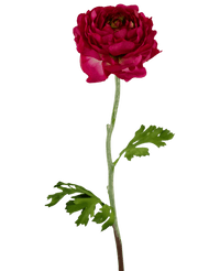 Ramo de flor artificial Ranunculus 51 cm rosa oscuro