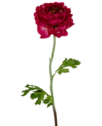 Ramo de flor artificial Ranunculus 51 cm rosa oscuro