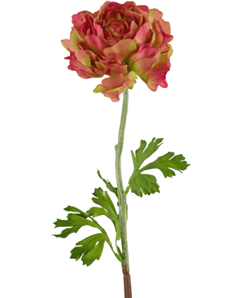 Ramo de flor artificial Ranunculus 51 cm rosa/verde