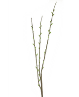 Ramo de flor artificial Salix sauce 70 cm