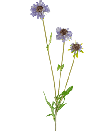 Ramo de flor artificial Scabiosa 63 cm azul