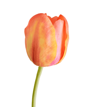 Ramo de flor artificial Tulipán francés 63 cm naranja