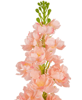 Ramo de flor artificial Violeta 78 cm rosa