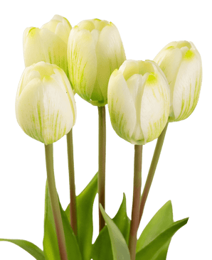 Ramo tulipán artificial Real Touch Verde/blanco 40cm