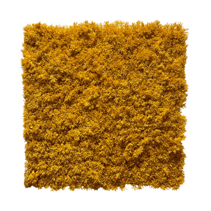 Seto artificial Musgo Amarillo Resistente al fuego 50x50cm