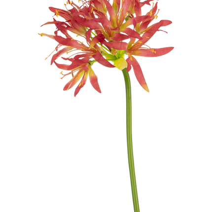 Ramo de flor artificial Nerine 70 cm fucsia