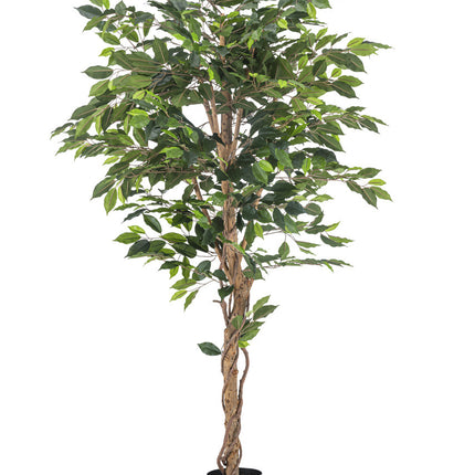 Planta artificial Ficus 180 cm ignífuga