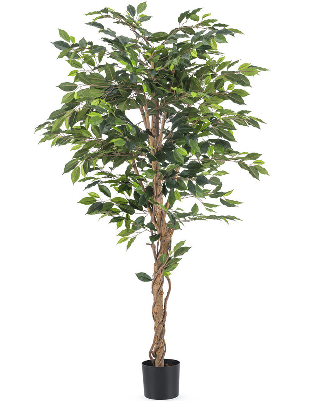 Planta artificial Ficus 180 cm ignífuga