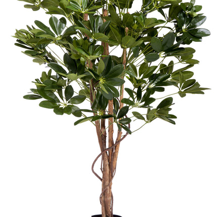 Planta artificial Schefflera 120 cm.
