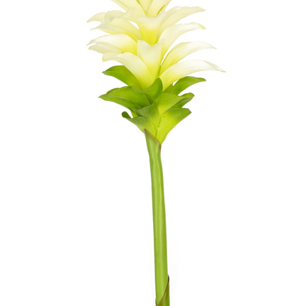 Flor artificial Cúrcuma 80 cm