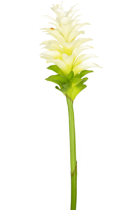 Flor artificial Cúrcuma 80 cm