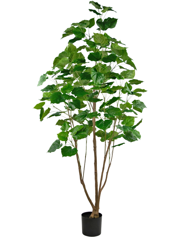 Planta artificial Ficus 210 cm