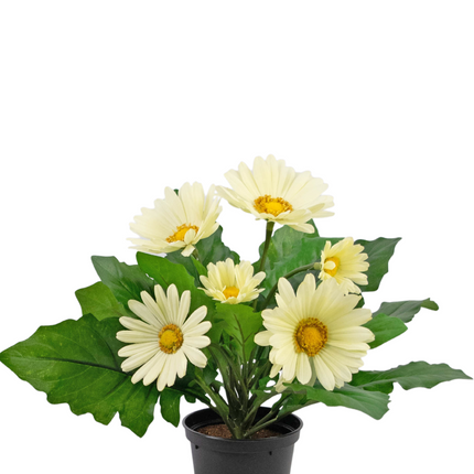 Planta artificial Gerbera 28 cm blanca