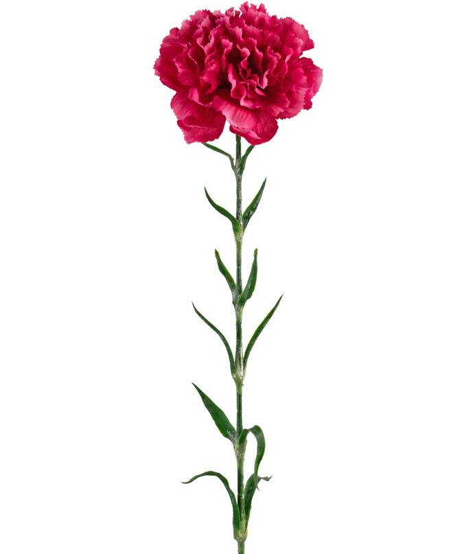 Ramo de flor artificial Clavel 69 cm rosa duro