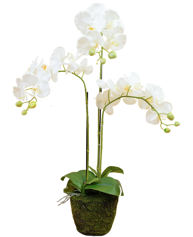 Orquídea artificial 118 cm blanca